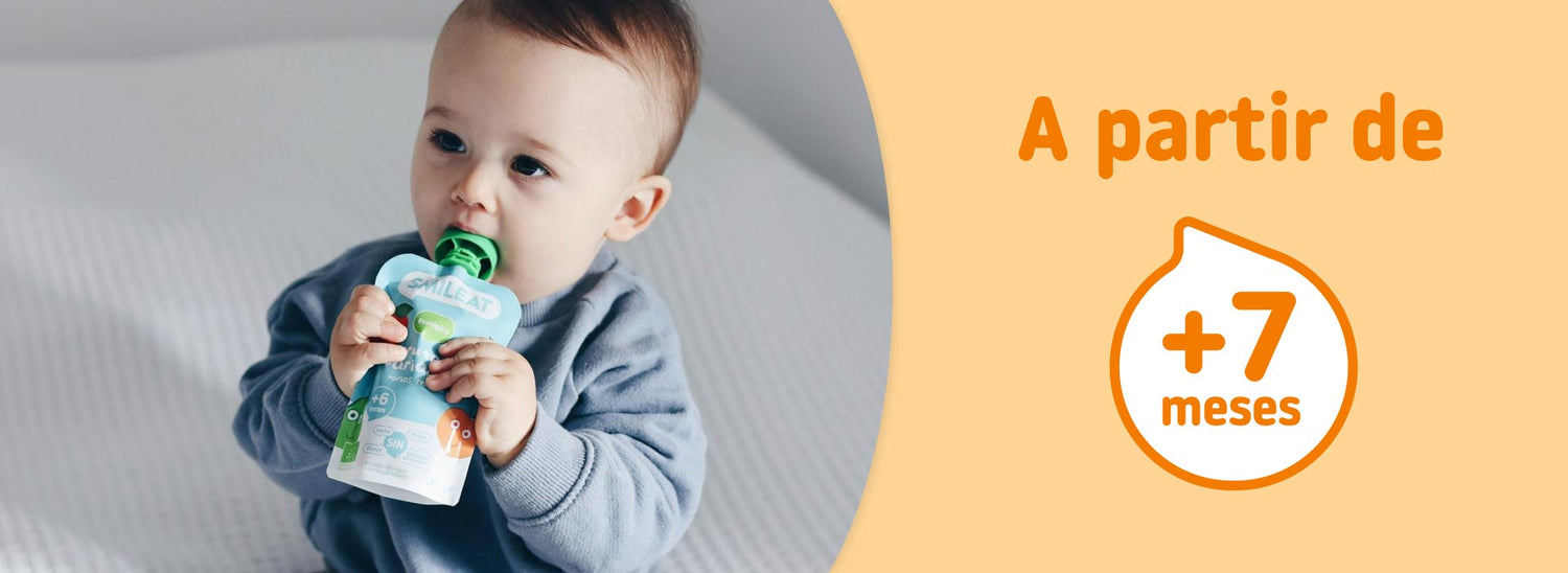 Alimentos Bebé 7 Meses