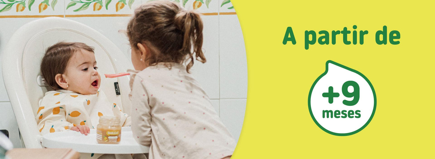 Alimentos Bebé 9 meses