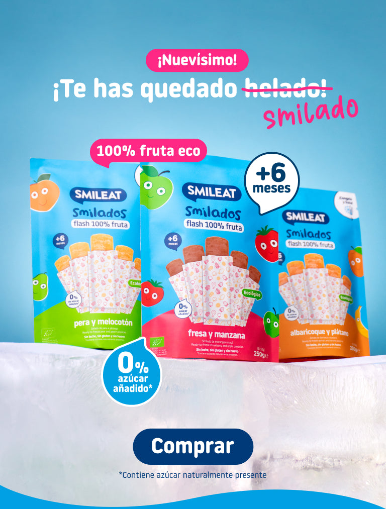 Fruit ice cream