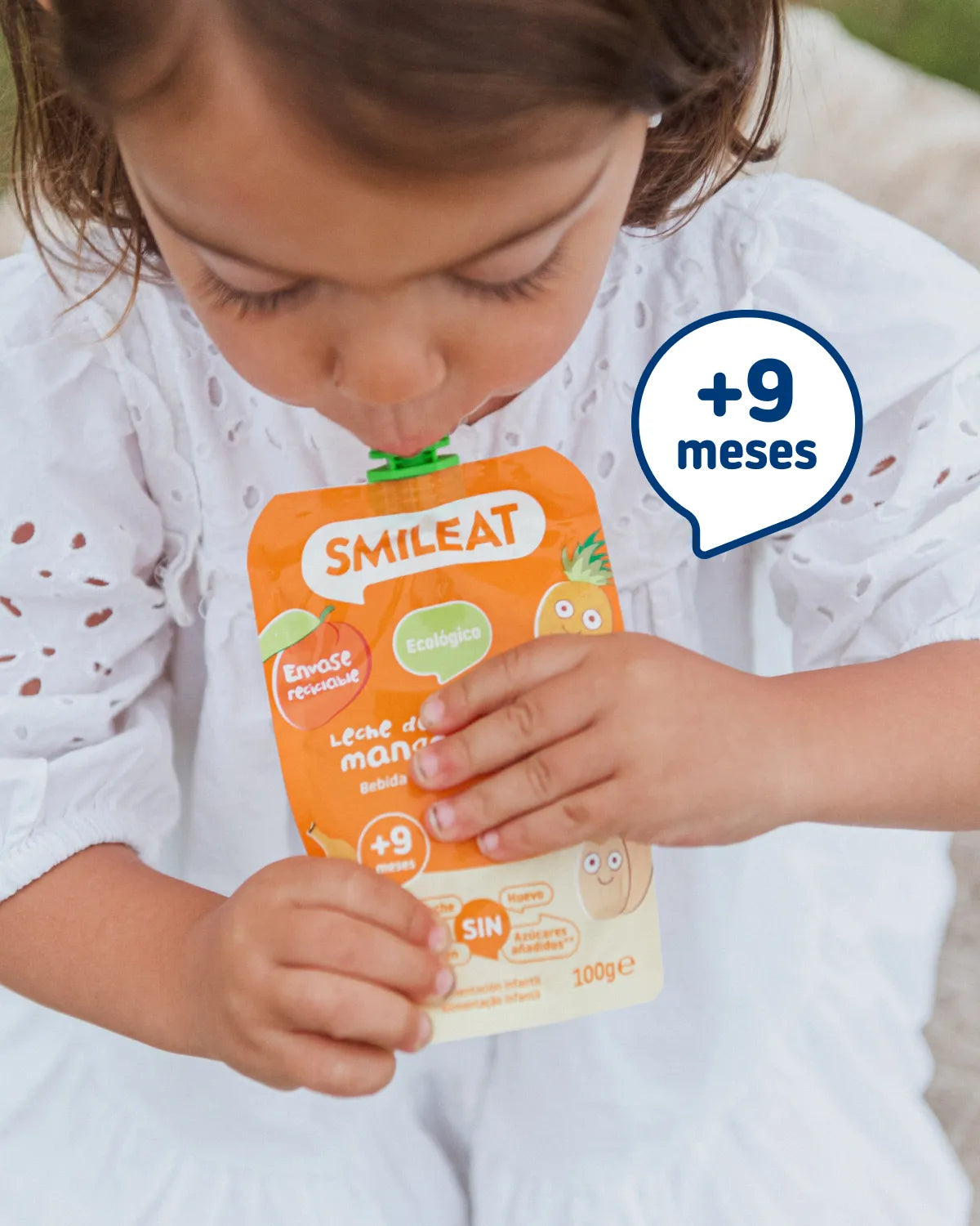Almond, Mango, and Pineapple Milk Pack (10-pack)
