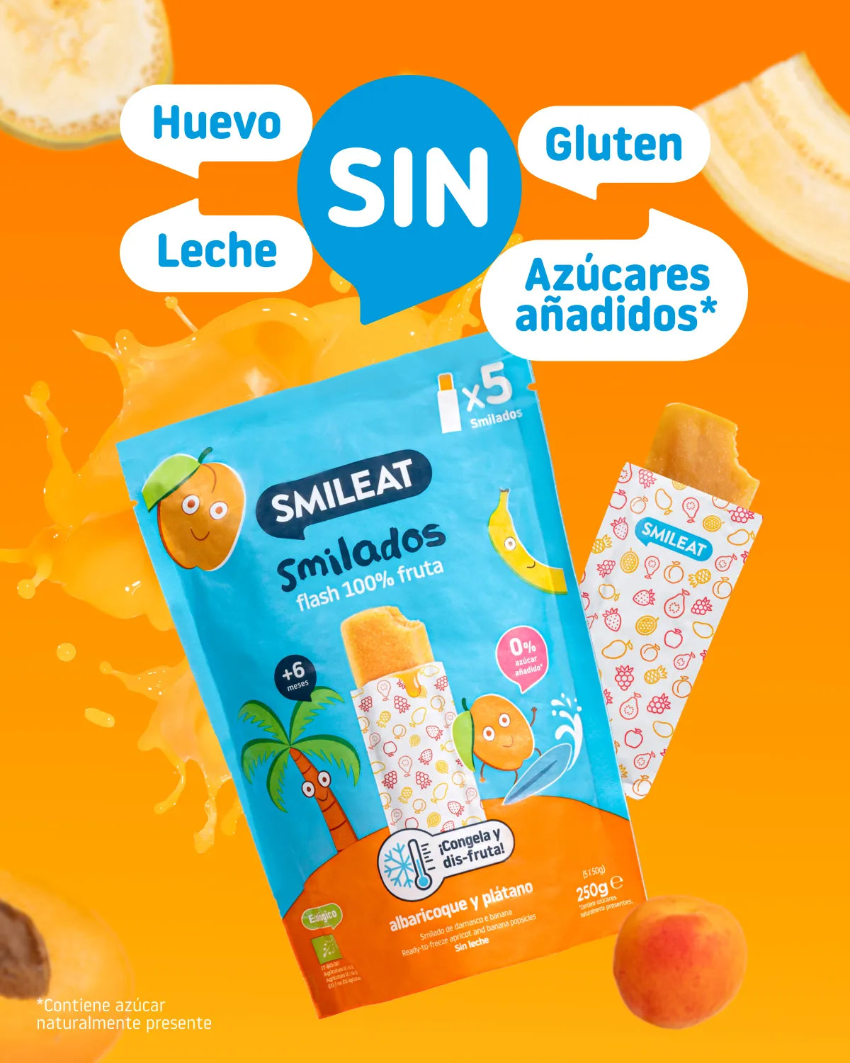 Helado de frutas sin huevo sin leche sin azúcares añadidos