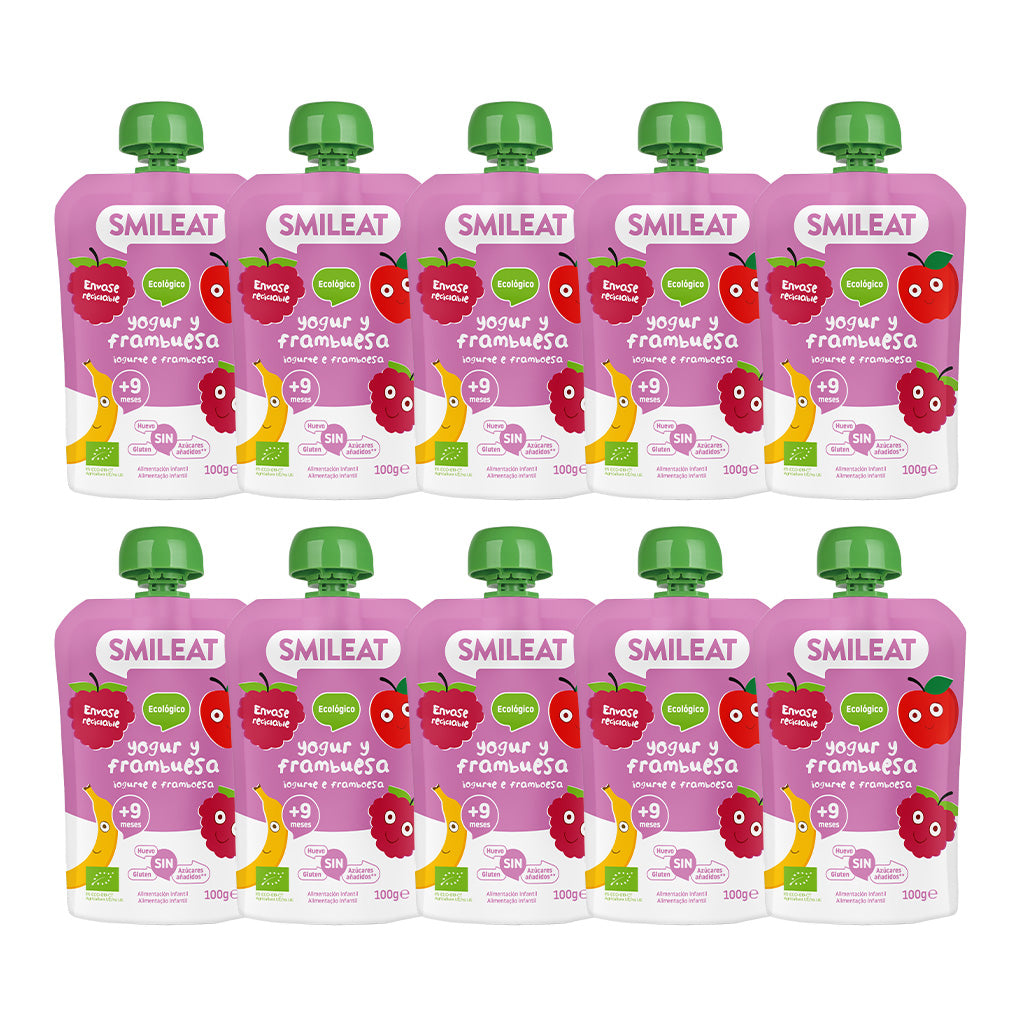 Pack of 10 Yogurt and Raspberry Pouches