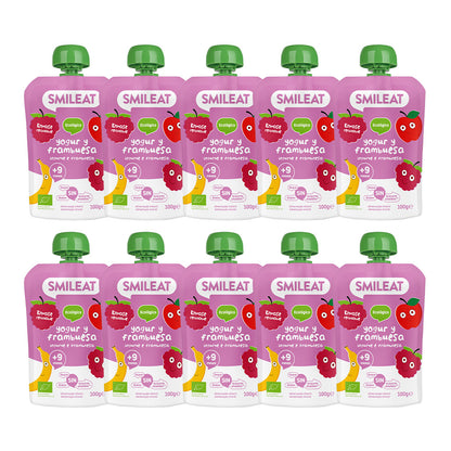 Pack of 10 Yogurt and Raspberry Pouches
