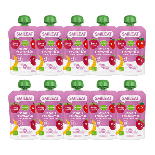 Pack of 10 Yogurt and Raspberry Pouches