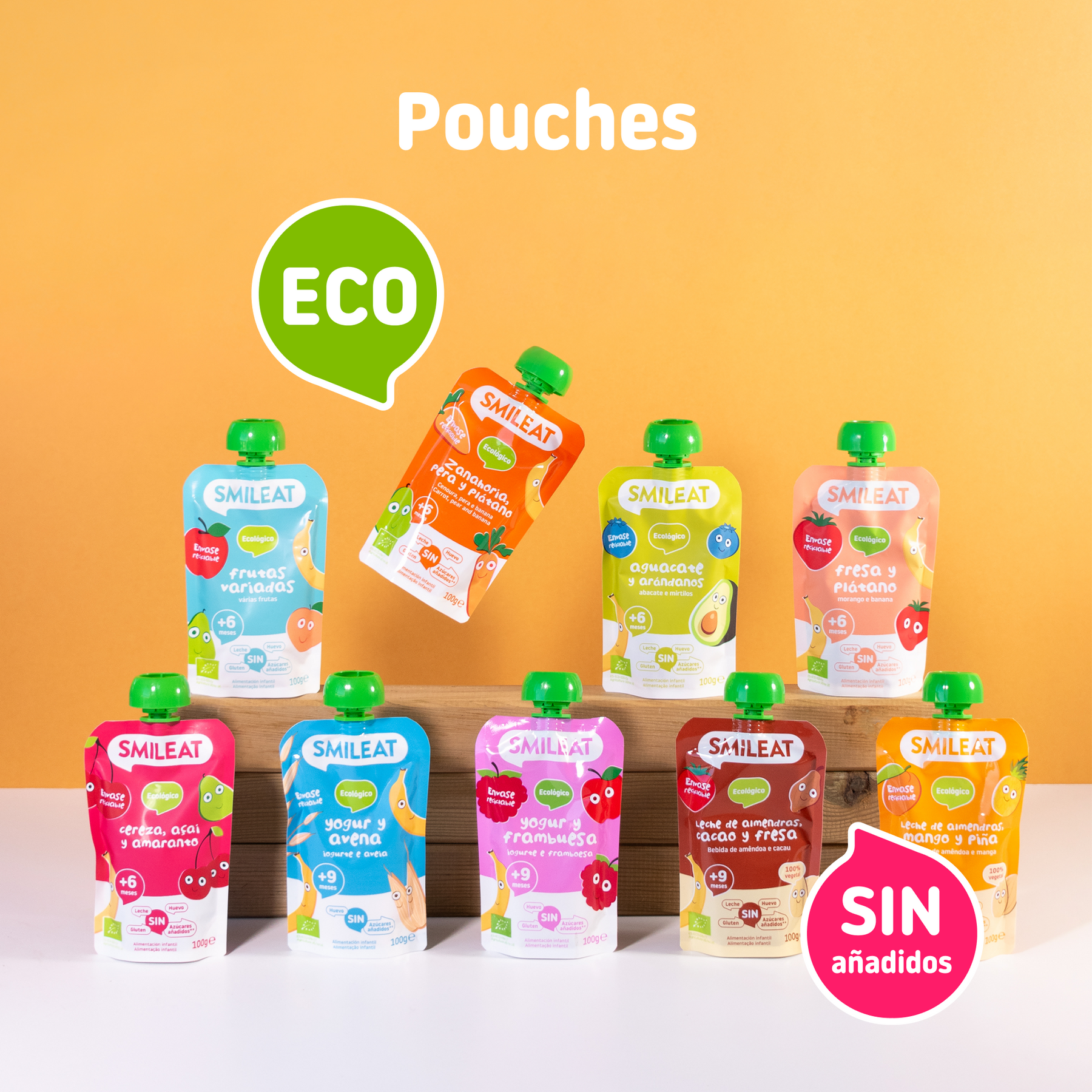 Pack Pouches fruta variada 10 Uds